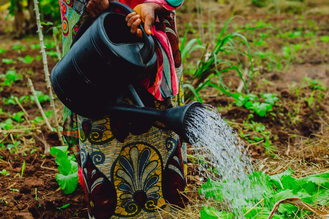 Agricultural Demonstration